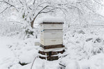 What are the common methods for keeping bees warm in winter?