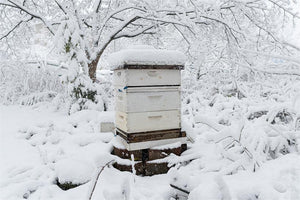 What are the common methods for keeping bees warm in winter?