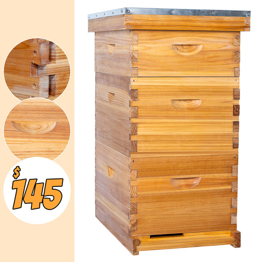 10 frame 3 layer beehive Limited-time discount