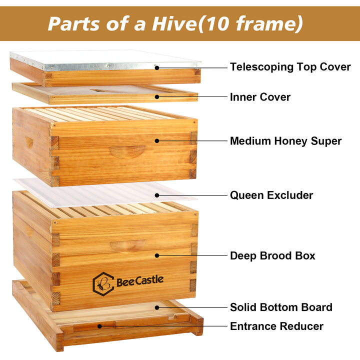 10-Frame Beehive Layer Overview