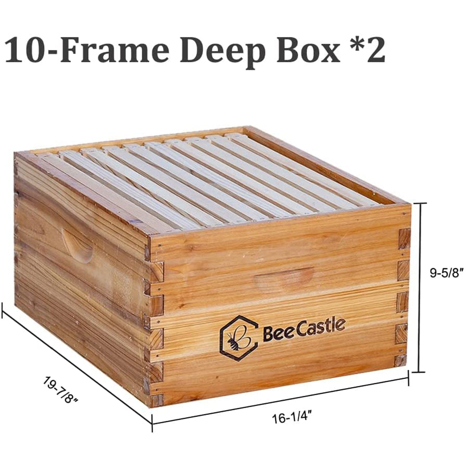 10-frame deep box: Deep boxes are typically used to hold the main frames of the hive, where bees store honey and royal jelly.