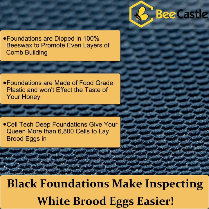 10 Frame 4 Layer Complete Cedar Wood Beehive black foundation