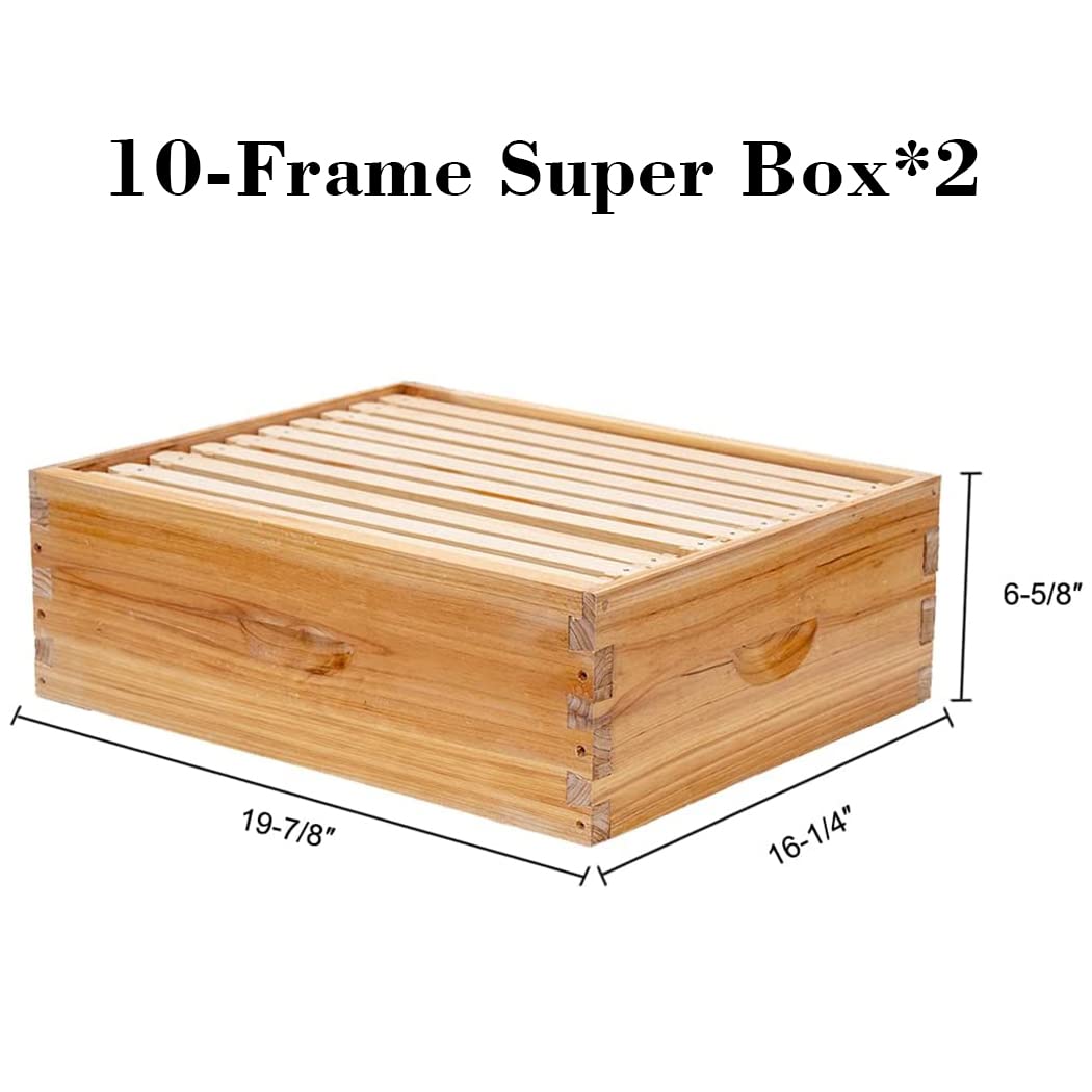 10-frame shallow box: Shallow boxes are often used for storing extra honey. They are lighter and easier to handle than deep boxes.