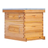 BeeCastle Hives 8 Frame 2 Layer Wax Dipped Cedar Wood Bee Hive Include 1 Super the Transparent Acrylic Window Box And 1 Deep Viewing Window Box,With Wooden Frame And Beeswax Plastic Foundation