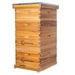 BeeCastle Hives 10 Frame 4 Layer Complete Cedar Wood Beehive Kit:Designed with 2 Deep Beehive Boxes and 2 Super Bee Boxes,with Premium Wooden Frames and Beeswax Plastic Foundation
