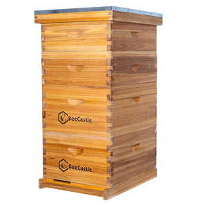 BeeCastle Hives 10 Frame 4 Layer Complete Cedar Wood Beehive Kit:Designed with 2 Deep Beehive Boxes and 2 Super Bee Boxes,with Premium Wooden Frames and Beeswax Plastic Foundation