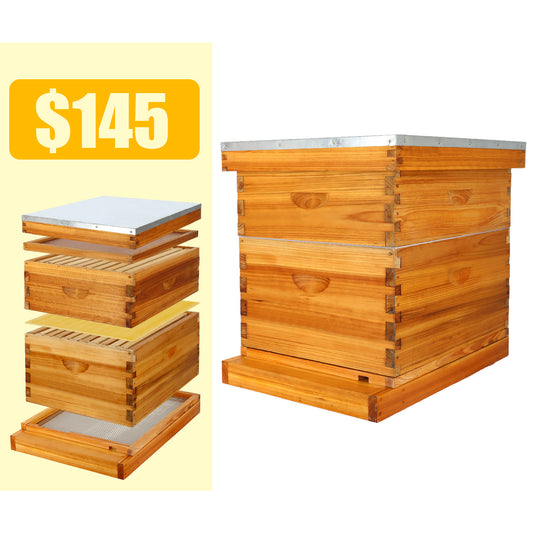 10 frame 2 layer screened bottom board langstroth beehive