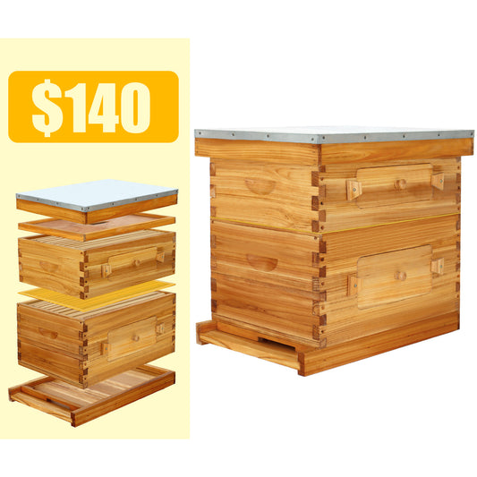 10 frame 2 layer visable window langstroth beehive