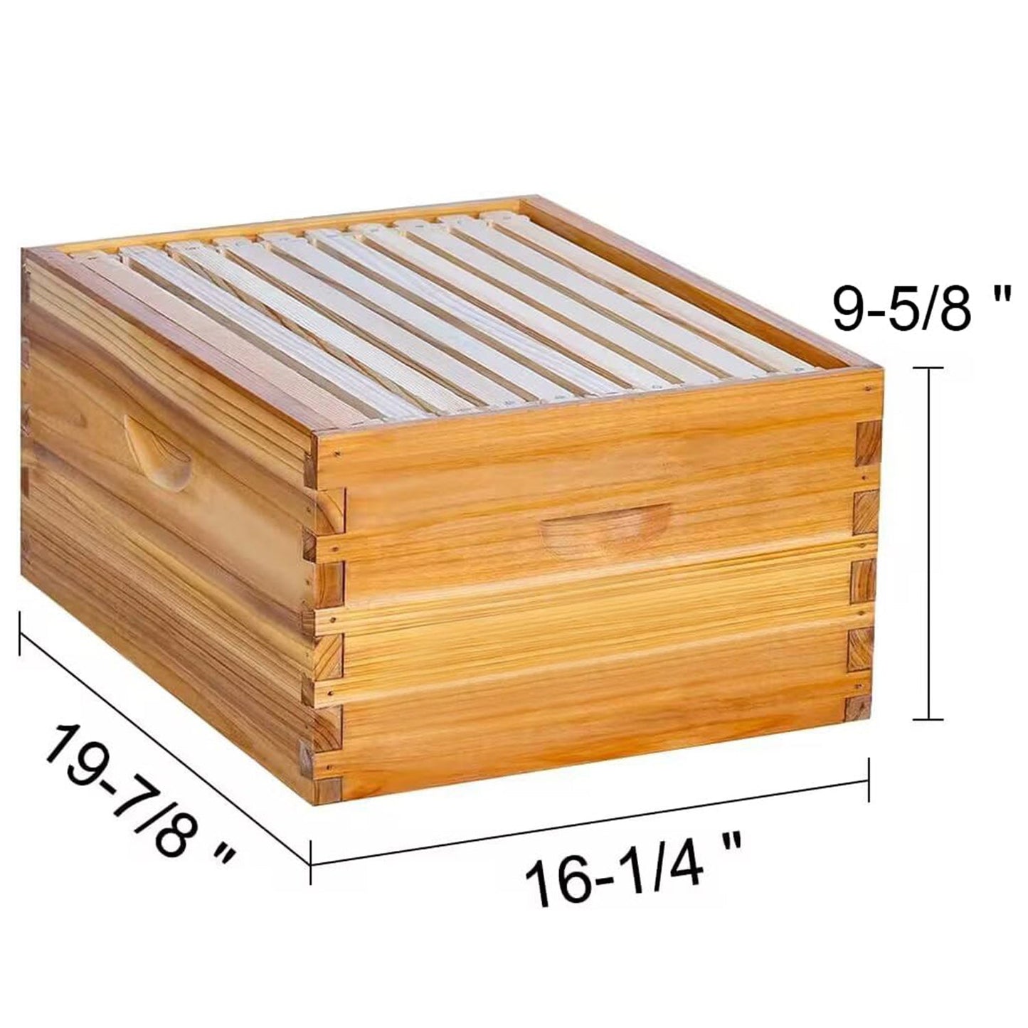 A 10-frame deep box for beehives typically has dimensions of around 16 1/4 inches (41.28 cm) in width, 19 7/8 inches (50.48 cm) in length, and 9 5/8 inches (24.45 cm) in height.