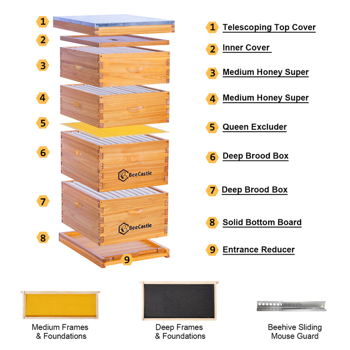 BeeCastle Hives 10 Frame 4 Layer Complete Cedar Beehive Kit
