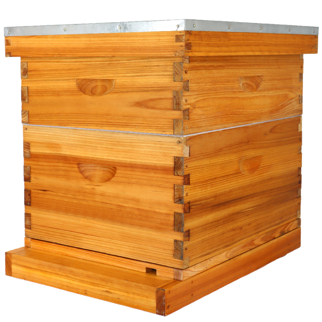 BeeCastle Hives 10 Frame 2 Layer Screened Bottom Board Wax Coat Beehive Kit with 1 Deep Bee Box,1 Honey Super Bee Box, Wooden Frames and Beeswax-Plastic Foundation for Optimal Ventilation and Productive Beekeeping