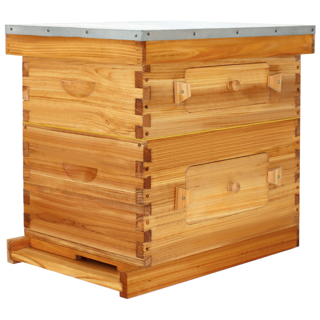 BeeCastle Hives 10 Frame 2 Layer Wax Coat Cedar Wood Beehive Kit with 1 Honey Super Acrylic Window Bee Box and 1 Deep Viewing Window Box, Pine Wooden Frames, and Beeswax-Plastic Foundation