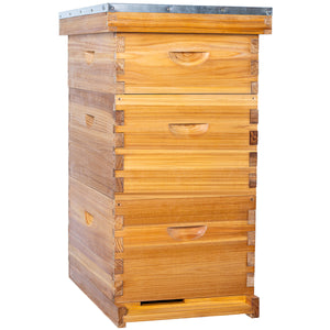 BeeCastle Logo Free 10 Frame 3 Layer Beehive:Complete Cedar Wood Bee Hive with Beeswax Dipped Plastic Foundation and Wooden Frames. Unassembled Hive Includes 2 Deep Boxes and 1 Medium Box for an Organic Beekeeping Journey