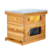 BeeCastle Hives 10 Frame 2 Layer Wax Dipped Cedar Wood Beehive Kit with 1 Honey Super Acrylic Window Bee Box and 1 Deep Viewing Window Box, Pine Wooden Frames, and Beeswax-Plastic Foundation