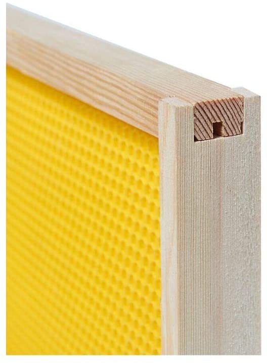 Wooden Frame And Beeswax Plastic Foundation