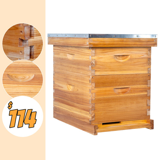 BeeCastle Logo Free 8 Frame Wax Coated 2 Layer Beehive Kit:1 Deep Brood Bee Box and 1 Medium Cedar Wood Box, Includes Pine Wood Frames and 100% Beeswax Plastic Foundation for Optimal Beekeeping Excellence.