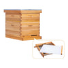 BeeCastle Hives 10 Frame 2 Layer Screened Bottom Board Wax Dipped Beehive Kit with 1 Deep Bee Box,1 Honey Super Bee Box, Wooden Frames and Beeswax-Plastic Foundation for Optimal Ventilation and Productive Beekeeping