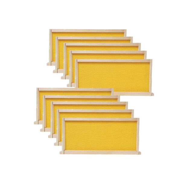 10 Packs Medium Wooden Frames Yellow Foundation Unassembled 6-1/4-Inch