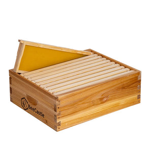 BeeCastle 10-Frame Unassembled Medium Super Beehive Box with Pine Wooden Frames and Beeswax-Dipped Yellow Plastic Foundation