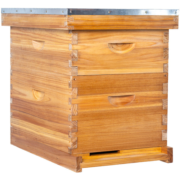BeeCastle Hives 24sets Wholesale BeeCastle 10 Frame Beeswax Coated Beehive 1 Deep, 1 Medium Box With Wooden Frame And Beeswax Foundation