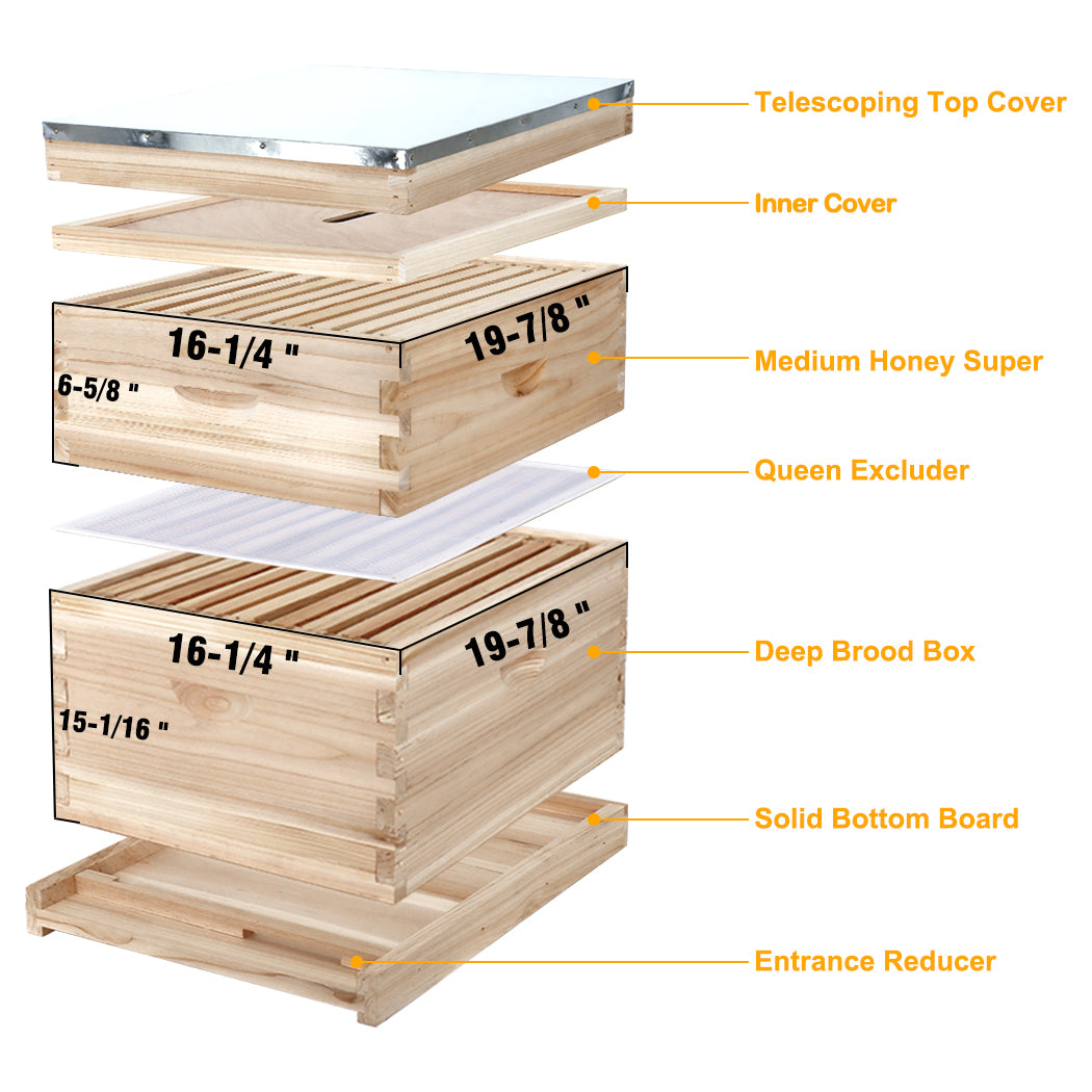 Beehive Setup BeeCastle Natural Hive 10 Frame 2 Layer Beehive – BeeCastle Hives
