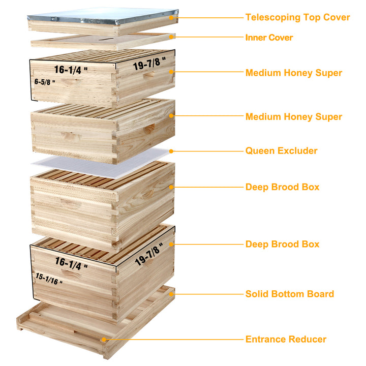 BeeCastle Unwaxed 10 Frame 4 Layer Cedar Wood Beehive Kit overview