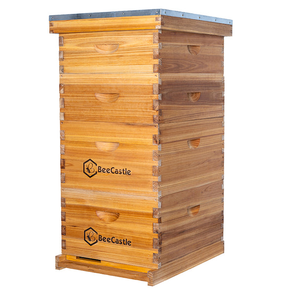 Wholesale (16 sets) BeeCastle 10 Frame 4 layer (2 Deep & 2 Super) Beeswax Coated Beehive Include Wooden Frame And Beeswax Foundation