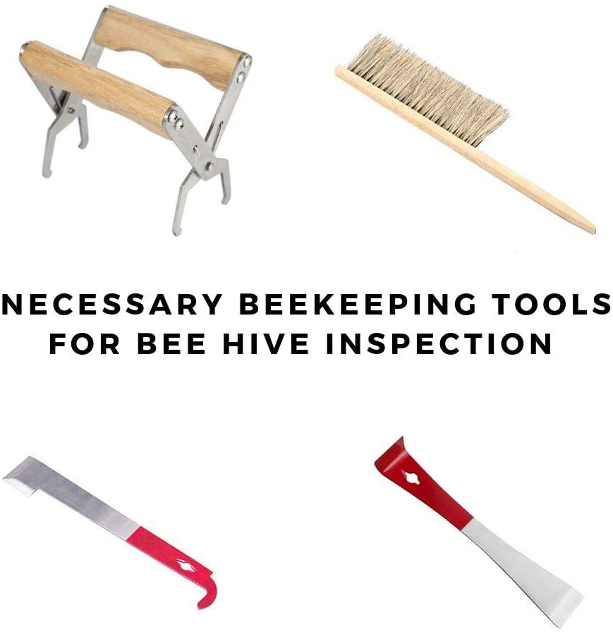 Beekeeping Supplies 9 Pcs Necessary Bee Supplies Kit BeeCastle Hives