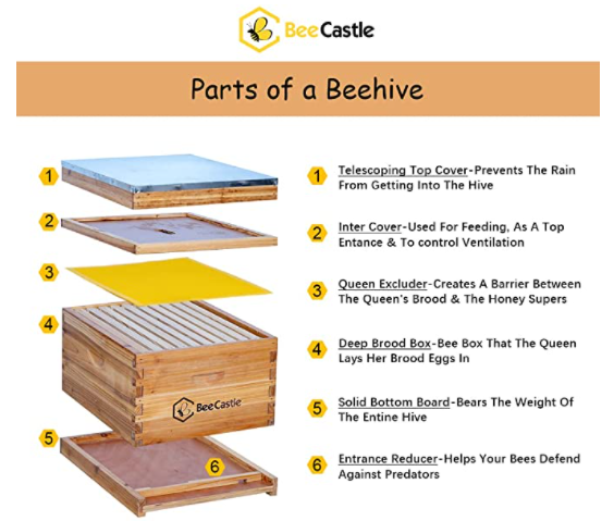 BeeCastle Professional Beekeeping Starter Kit overview